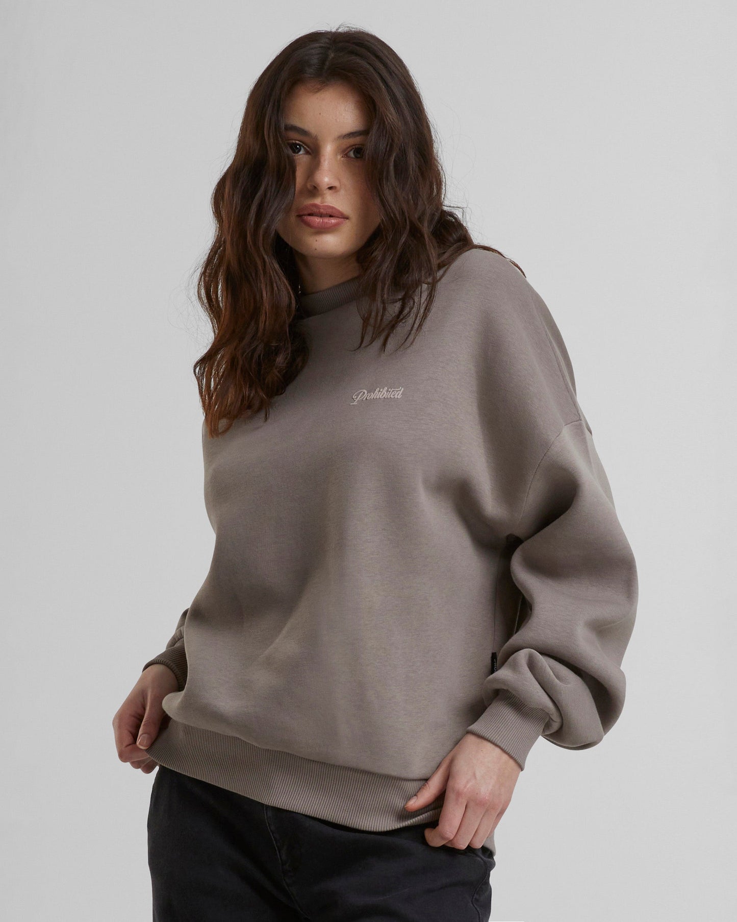 10119 Crew Neck 2.0 Taupe