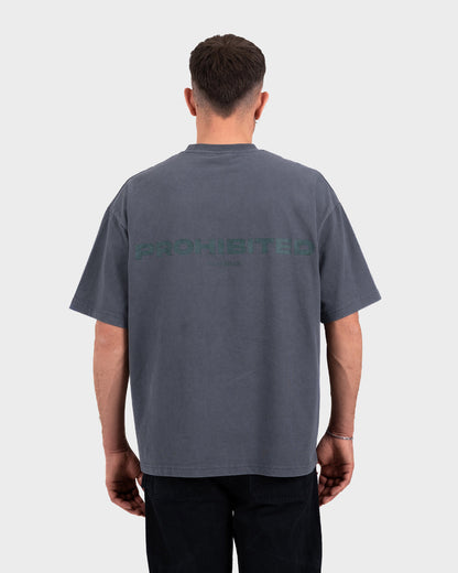 10119 Tee Grey (Stone Washed)