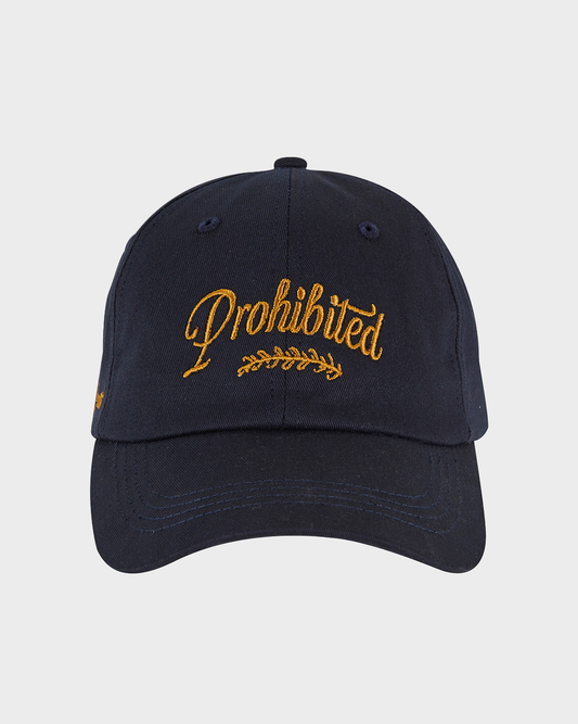 PB Garment Cap Navy